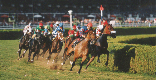 Horse Racing Betting Strategy