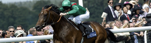Horse Racing Betting Odds